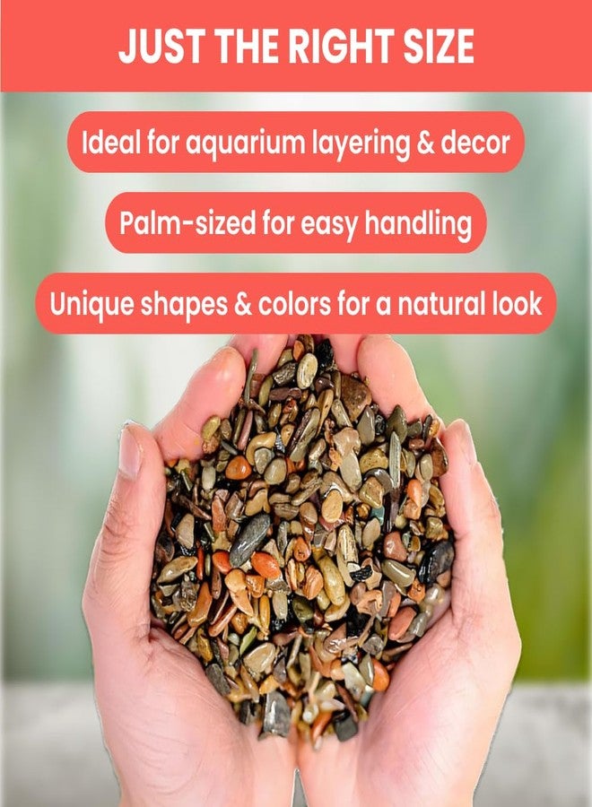 VAYINATO Flat River Stream Stone Rio Xingu - Natural Aquarium Gravel Pebbles for Aquascaping, Terrariums, and Home Decor | Natural, River, Pebbles (3 Kg) - Image 5